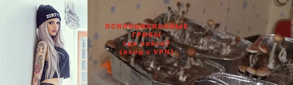 тгк Нефтегорск