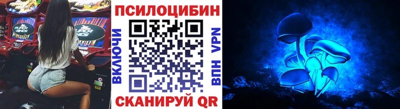 Галлюциногенные грибы Psilocybine cubensis  Кодинск 